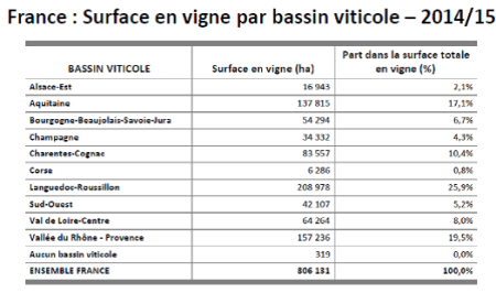 regiões francesas vinhas