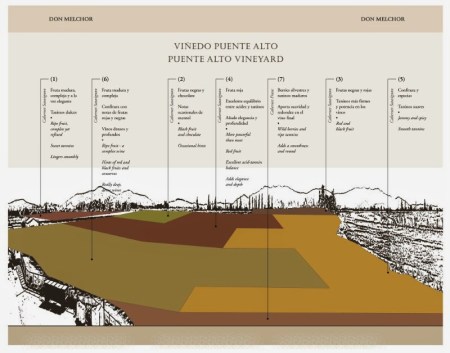 Don_Melchor_Puente_Alto_Vineyard_Parcel_Map