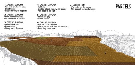 Don_Melchor_Puente_Alto_Vineyard_Parcel_Map