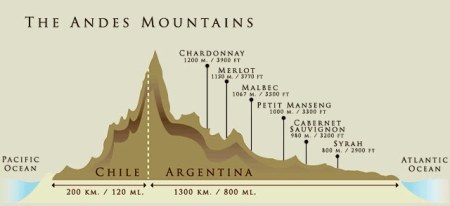 terroir argentina x chile