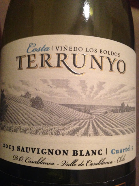 terrunyo sauvignon blanc