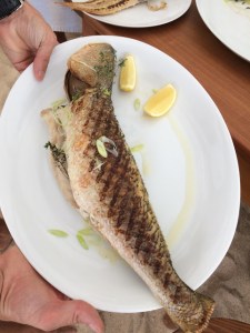 saint-barth-peixe-cheval-blanc