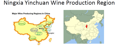 china-wine-region-ningxia
