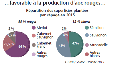 bordeaux 2015 cepages