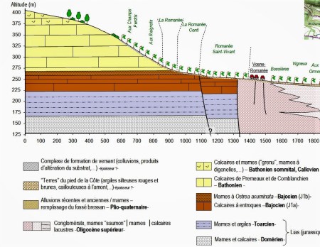 vosne_romanee terroir (2)