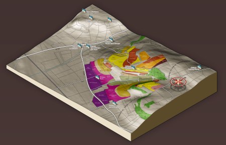 chateau pavie vignoble