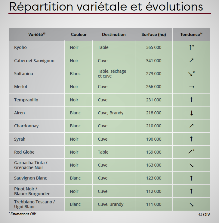 uvas mais plantadas 2015