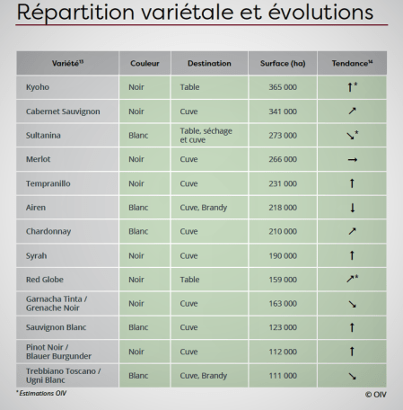 uvas mais plantadas 2015