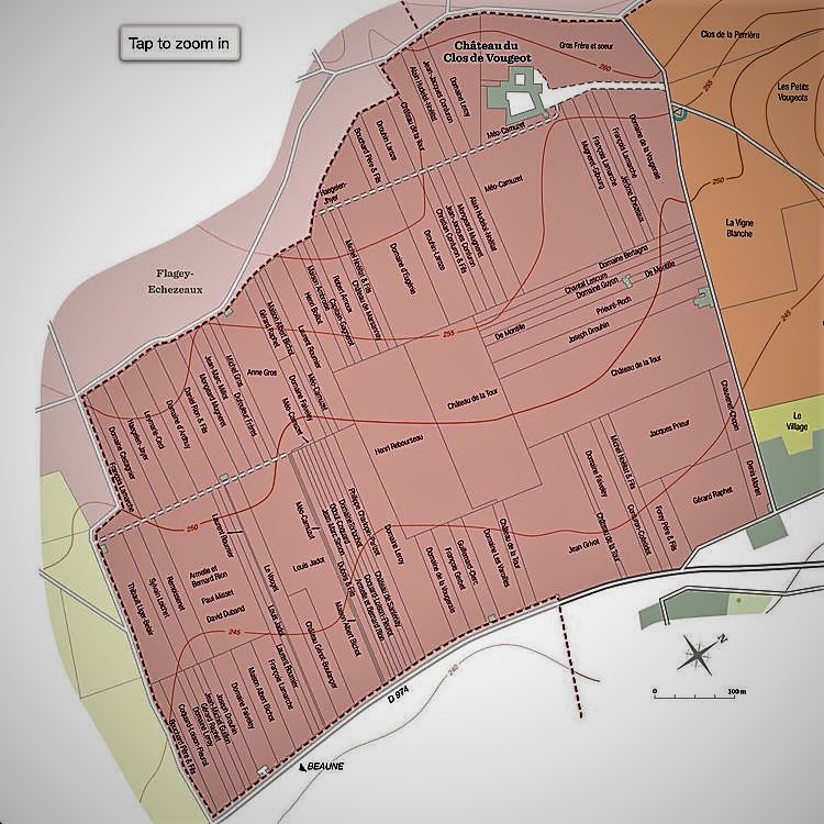 clos vougeot parcelles