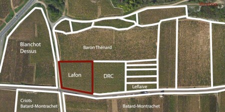 montrachet lafon