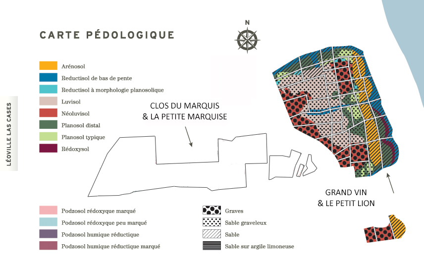 leoville las cases mapa
