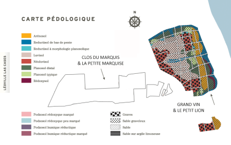 leoville las cases mapa