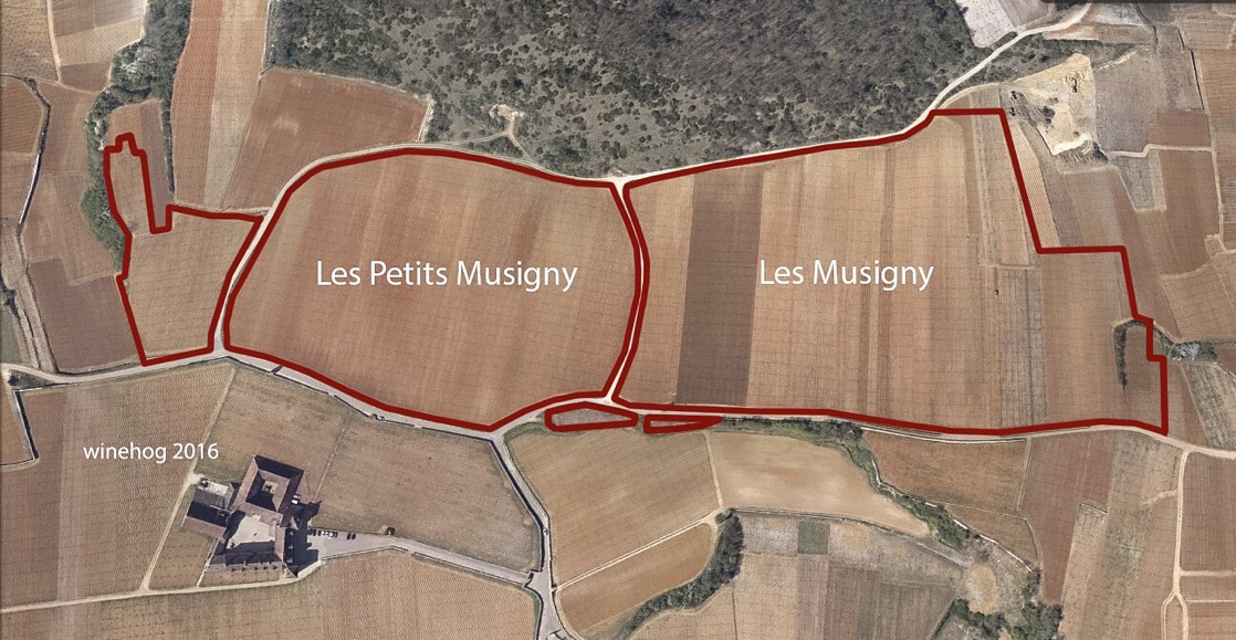 musigny les petits
