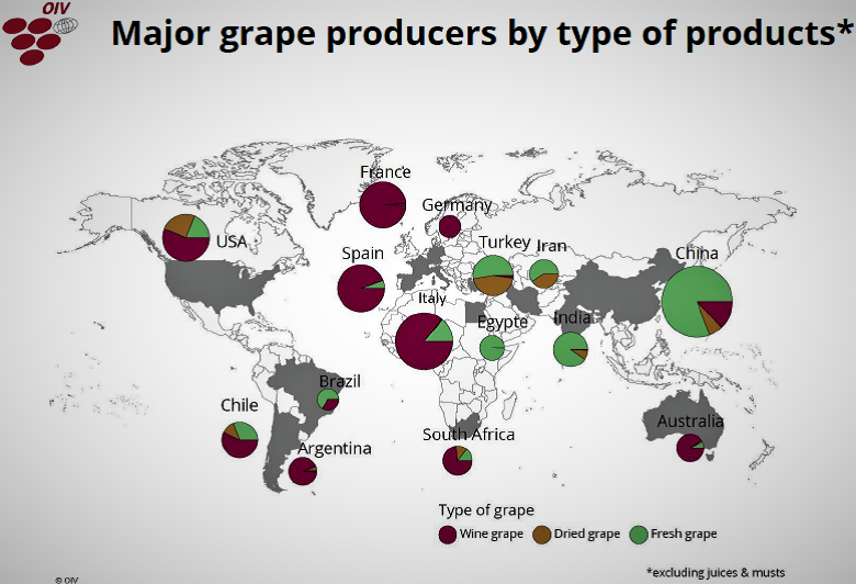 OIV grapes world