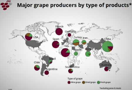 OIV grapes world
