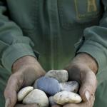 latour l´enclos graves