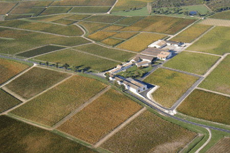 sociando mallet vignoble