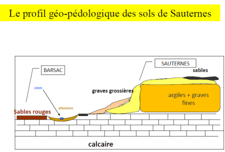 sauternes e barsac geologia