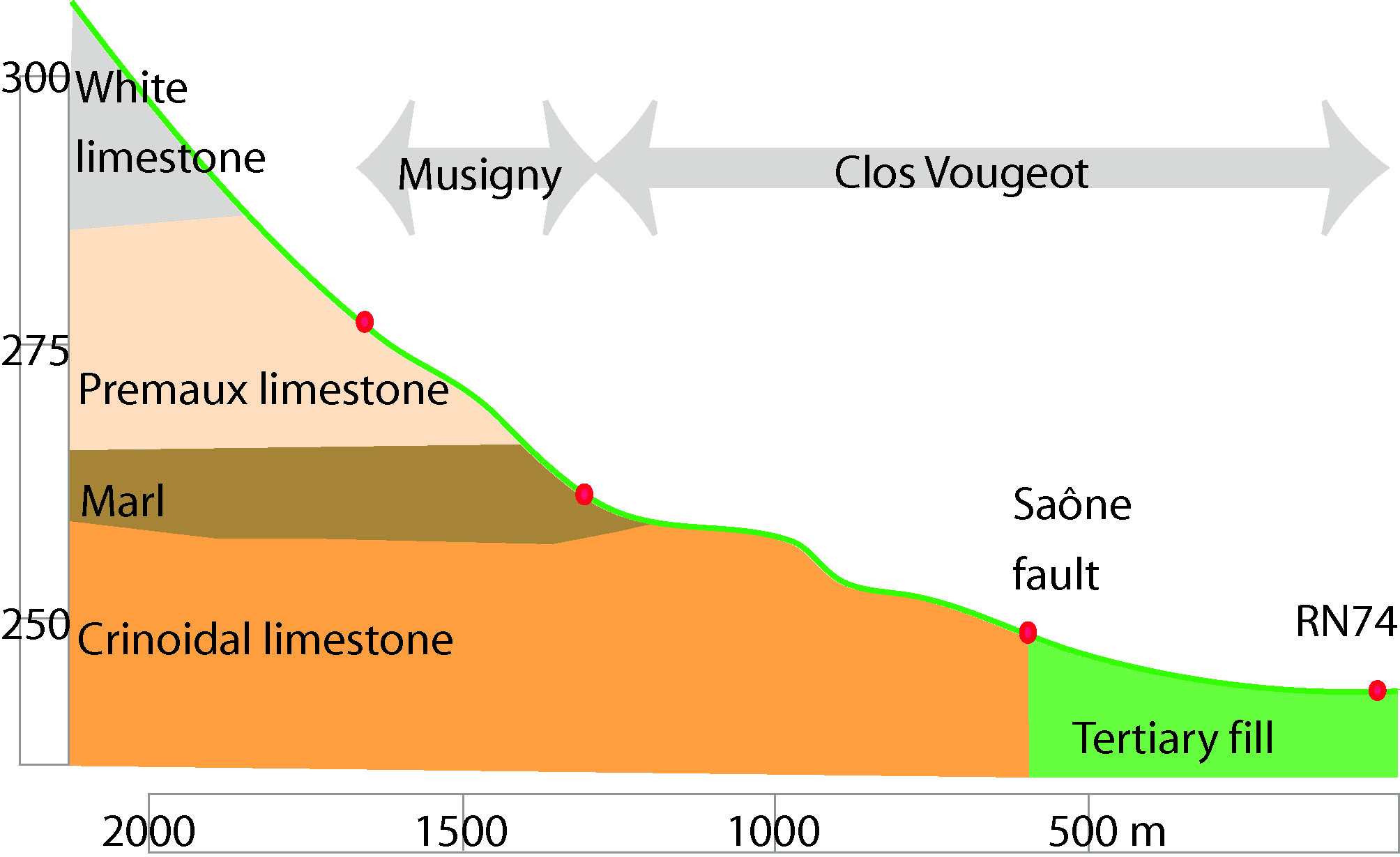 geologie vougeot e musigny
