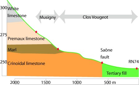 geologie vougeot e musigny