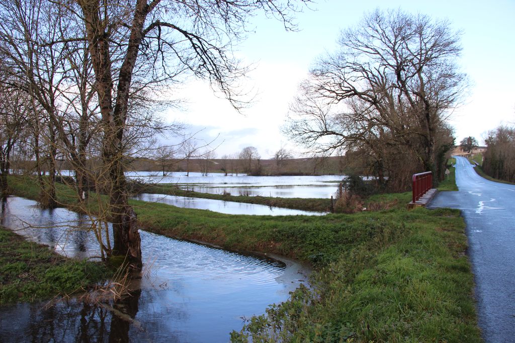 marais de lafite