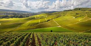 Hotéis B&B económicos na região da Borgonha: reserva e booking de hotéis na  Borgonha